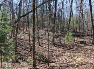 0 Spring Camp Rd #20, Ellijay, GA 30536