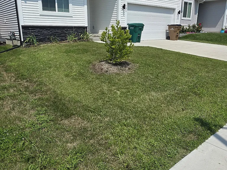 431 43rd St SW — Photo 29