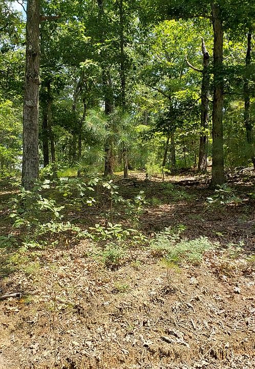 1st image of 0 Mount Pleasant Freeland Rd