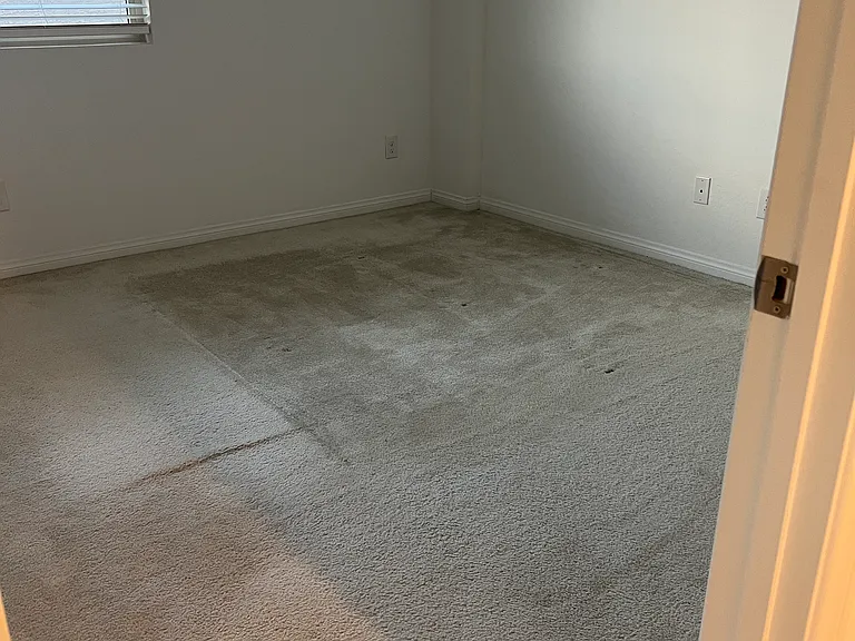 9024 Misty Leaf Ave — Photo 21