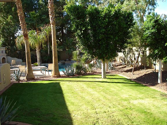 Mature Landscaping