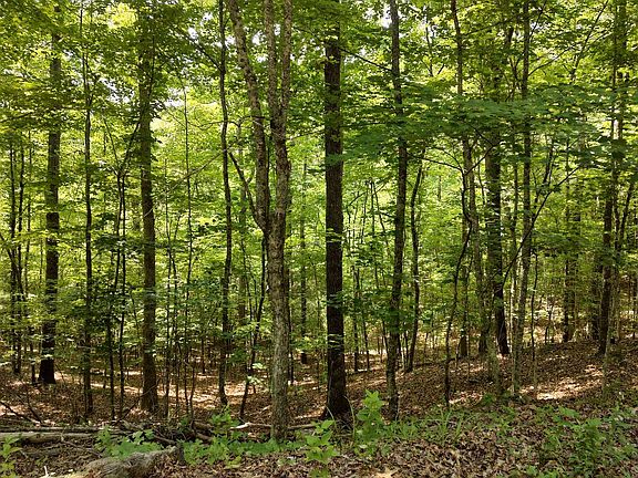 3rd image of 25 Wolf Creek Spur