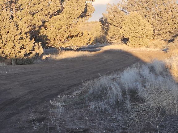 3rd image of 61461 Oil Dri Rd