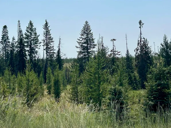 11500 Upper Fords Creek Rd, Orofino, ID 83544