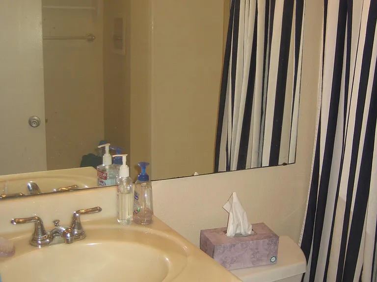 386 Hemlock Ave — Photo 7