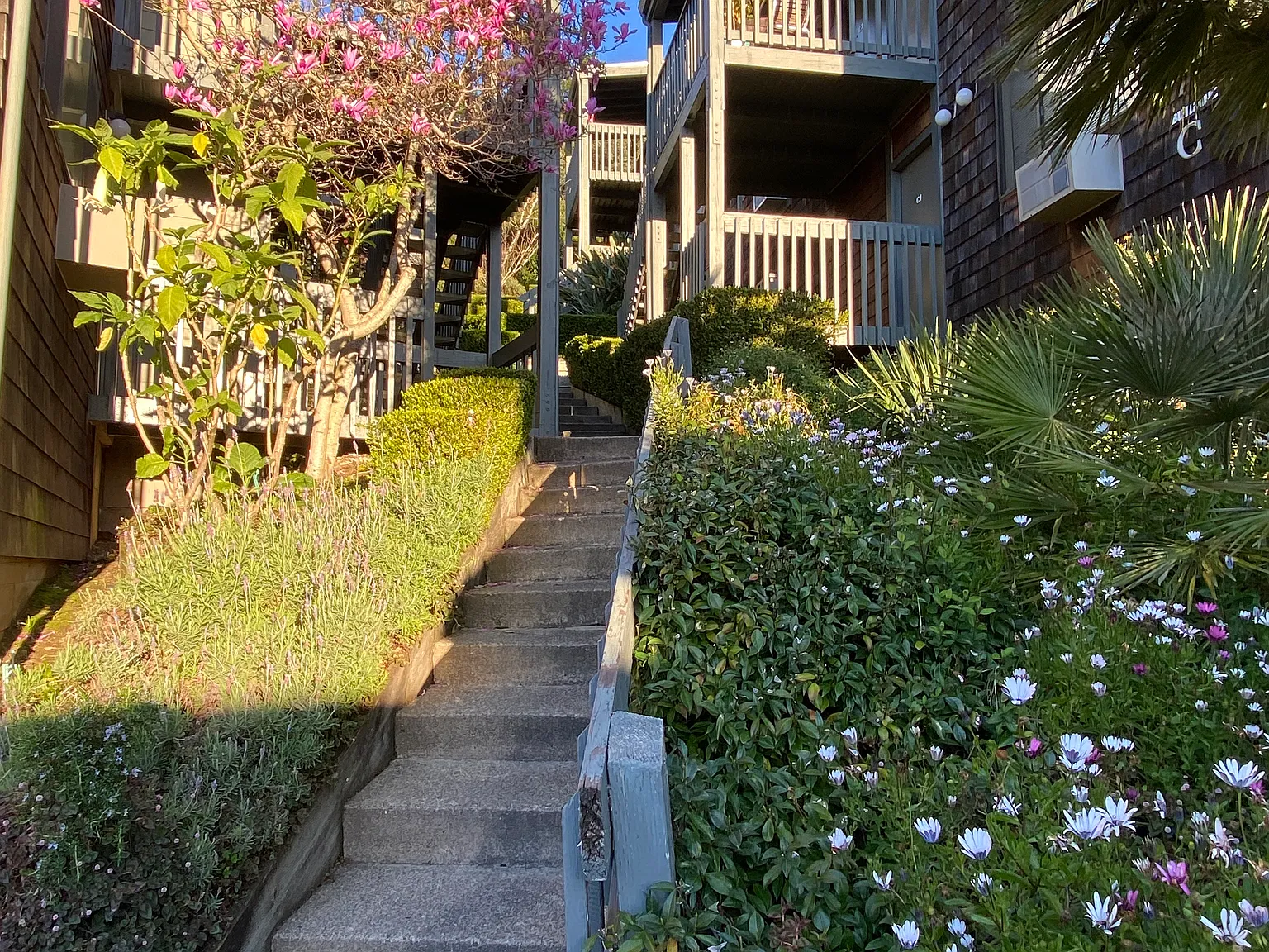 122 Ross St. — Photo 4