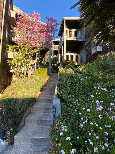 122 Ross St. Photo 1