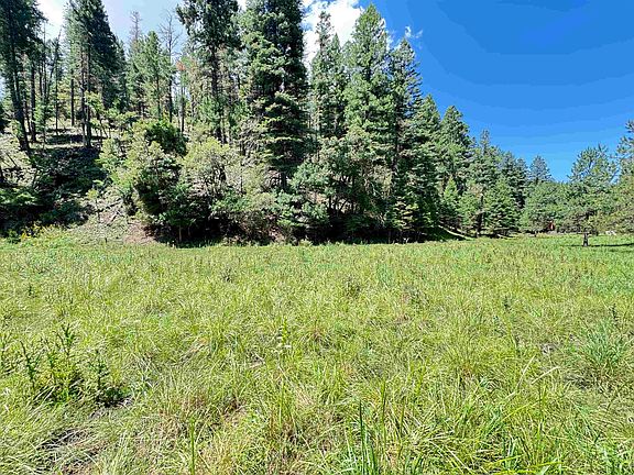 2nd image of 235 Dark Canyon Rd
