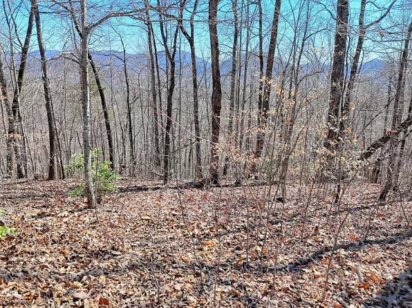 45 Pinnacle Ln #M, Hayesville, NC 28904