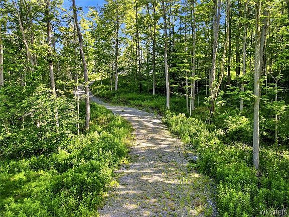 2nd image of 11980 Strykersville Rd Lot 18