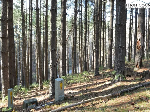 Lot #12 Enchanted Forest Drive, Piney Creek, NC 28663