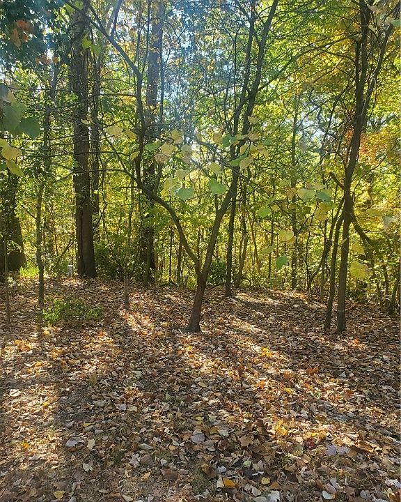 2nd image of Cobb Cir Lot 18