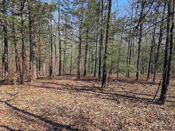 3rd image of 20 River Ridge Rd