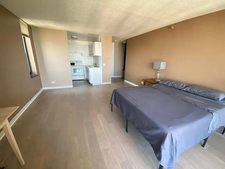 3660 N Lake Shore Dr #3309 — Photo 2