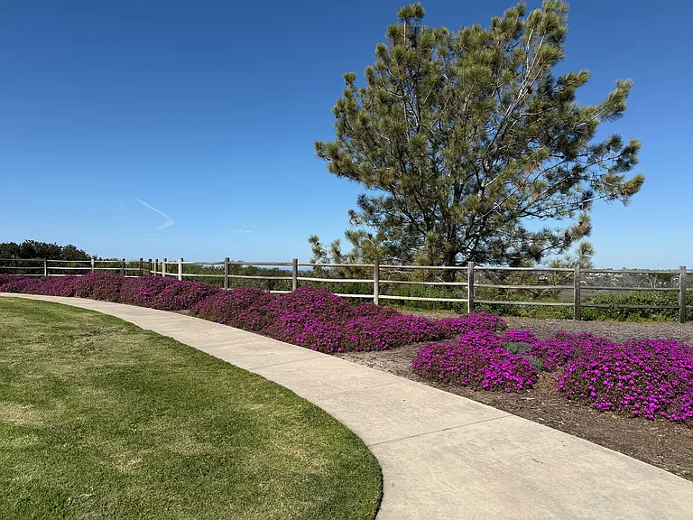 Overlook Park.