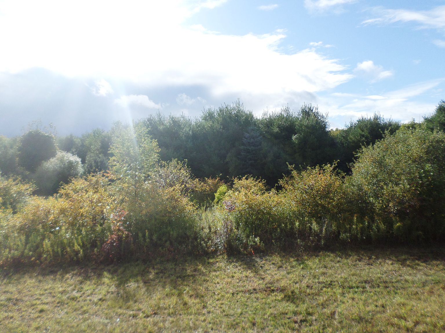 13000 Block Slee Rd, Onsted, MI 49265 Zillow