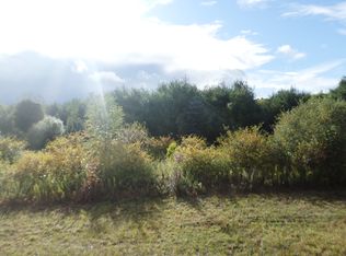 13000 Block Slee Rd, Onsted, MI 49265