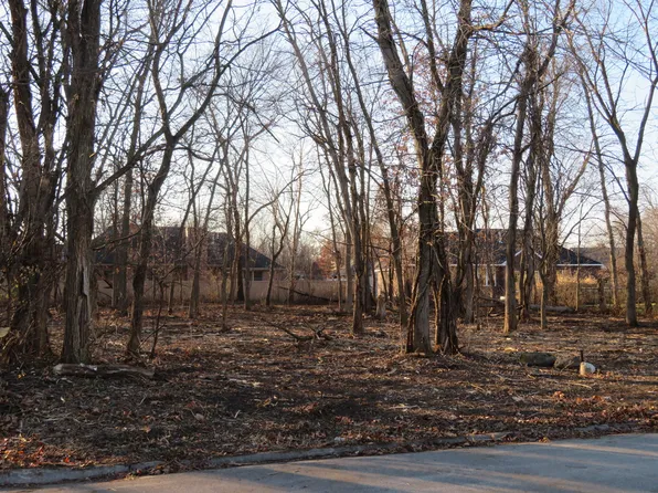 LOT 58 Timber Edge Dr Lot 58, Morris, IL 60450