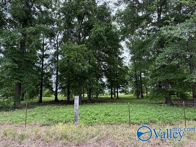 2nd image of LOT 1 Neely Rd