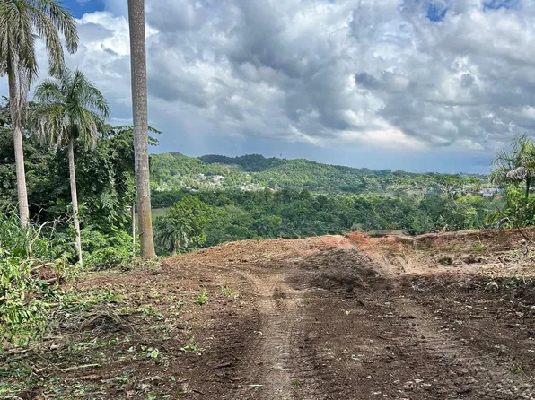 Km 3.5 159, Morovis, PR 00687