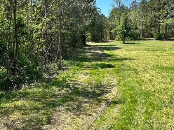 1 Pruitt Rd, Piedmont, AL 36272