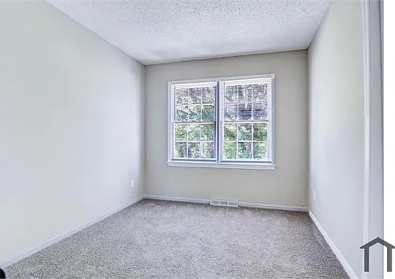 305 Red Roan Pl — Photo 3
