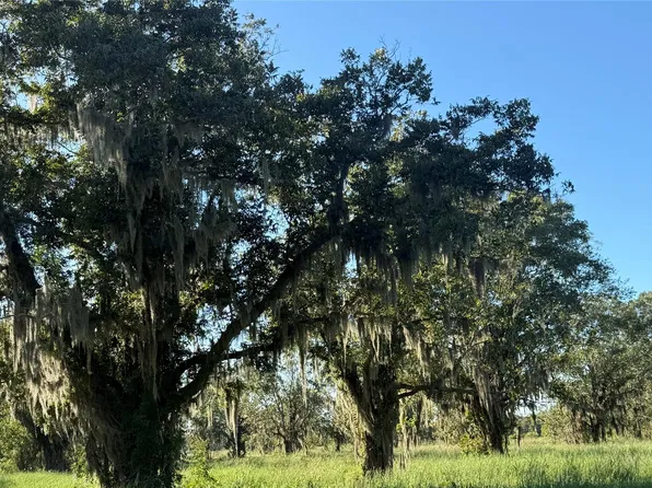 0 County Road 13, Damon, TX 77430