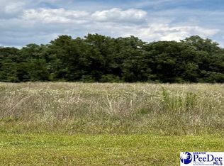 22 Governor Run Dr, Lamar, SC 29069