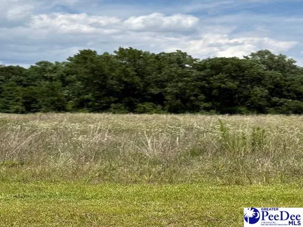 22 Governor Run Dr, Lamar, SC 29069