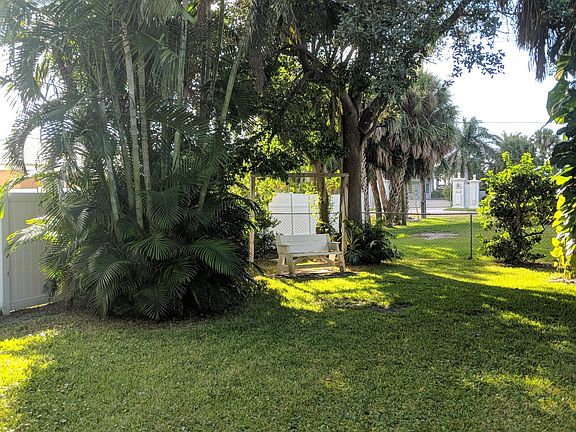 Back yard