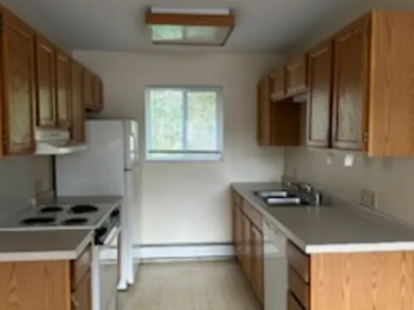 805 Whitetail St #14, Rice Lake, WI 54868