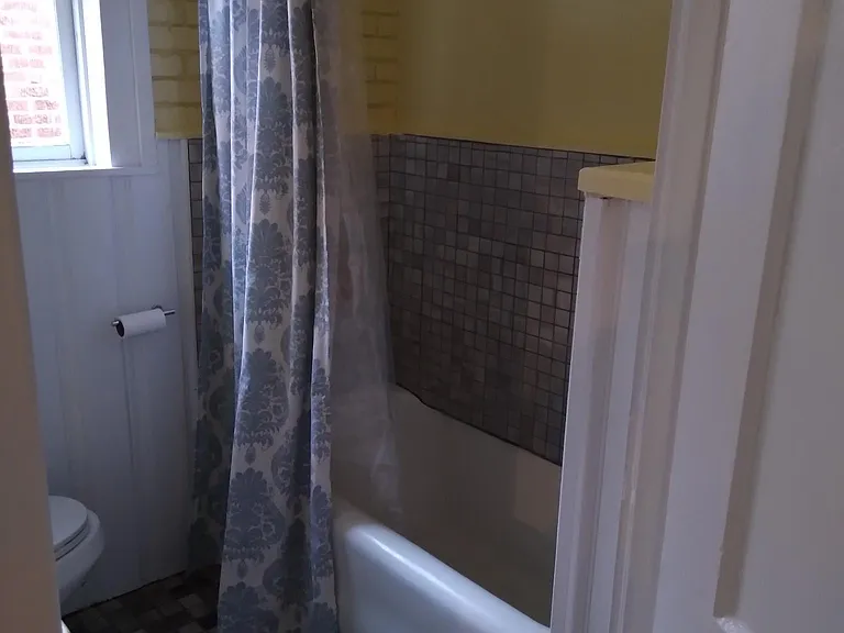 Bath and Shower area