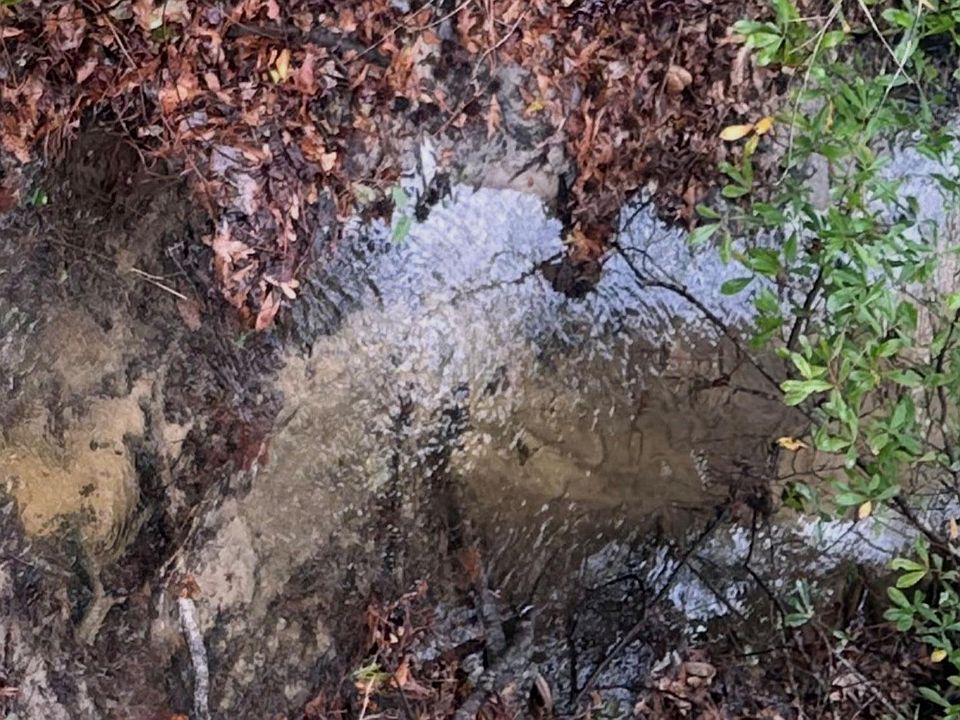 2nd image of 2984 Goodman Hill Rd