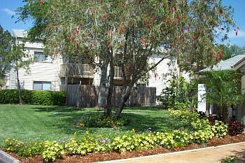 Unit is behind the tree