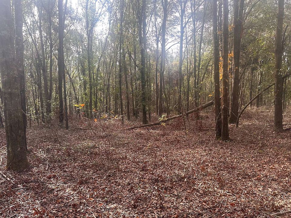 1st image of LOT 3 154th Cir