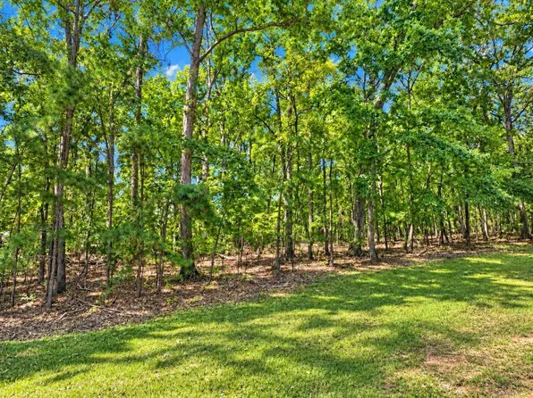 495 Briar Creek Cv, Counce, TN 38326