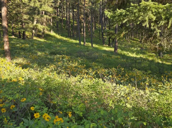 Nhn Profile Rock Dr, Alberton, MT 59820