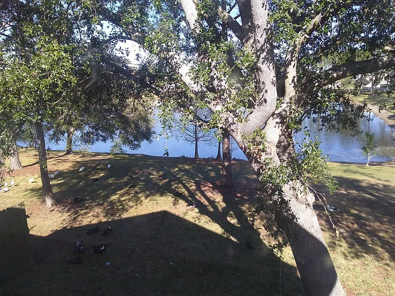 9509 Chandon Dr — Photo 21