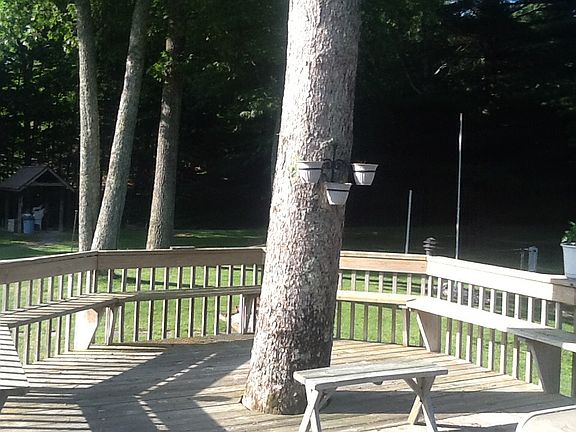 Front Deck Around Tree