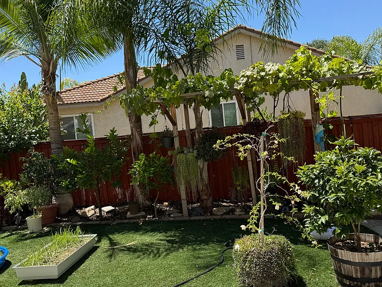 31459 Orchard Ln — Photo 6