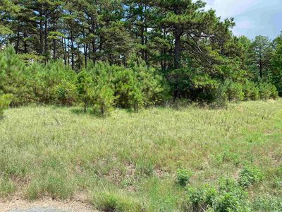 (Undisclosed Address), Hattieville, AR, 72063