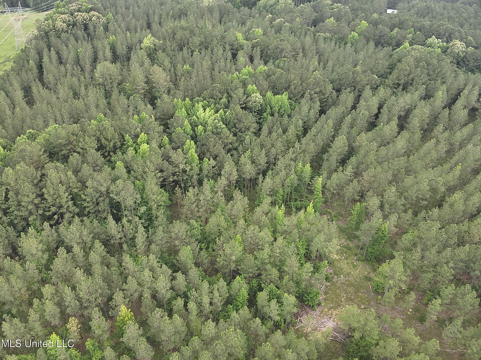 429 Highway, Sallis, MS 39160 MLS 4050233 Zillow