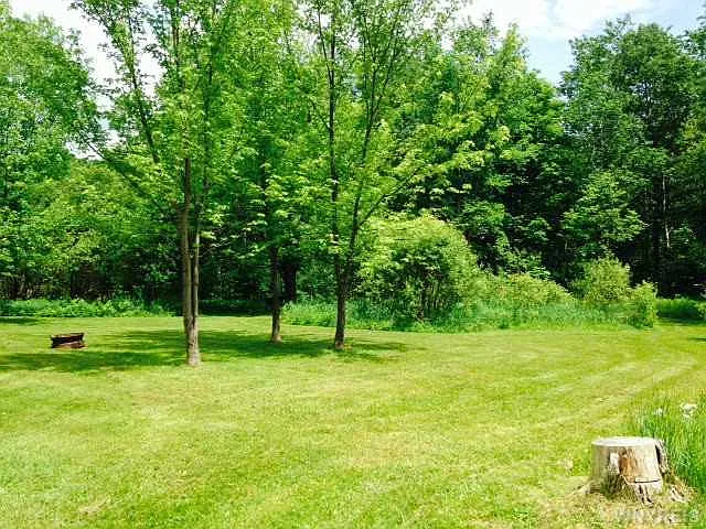11842 North Rd photo 1