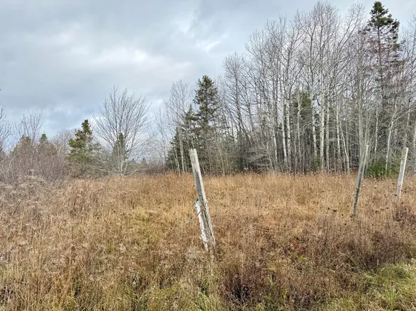 0 E Three Mile Rd, Sault Sainte Marie, MI 49783