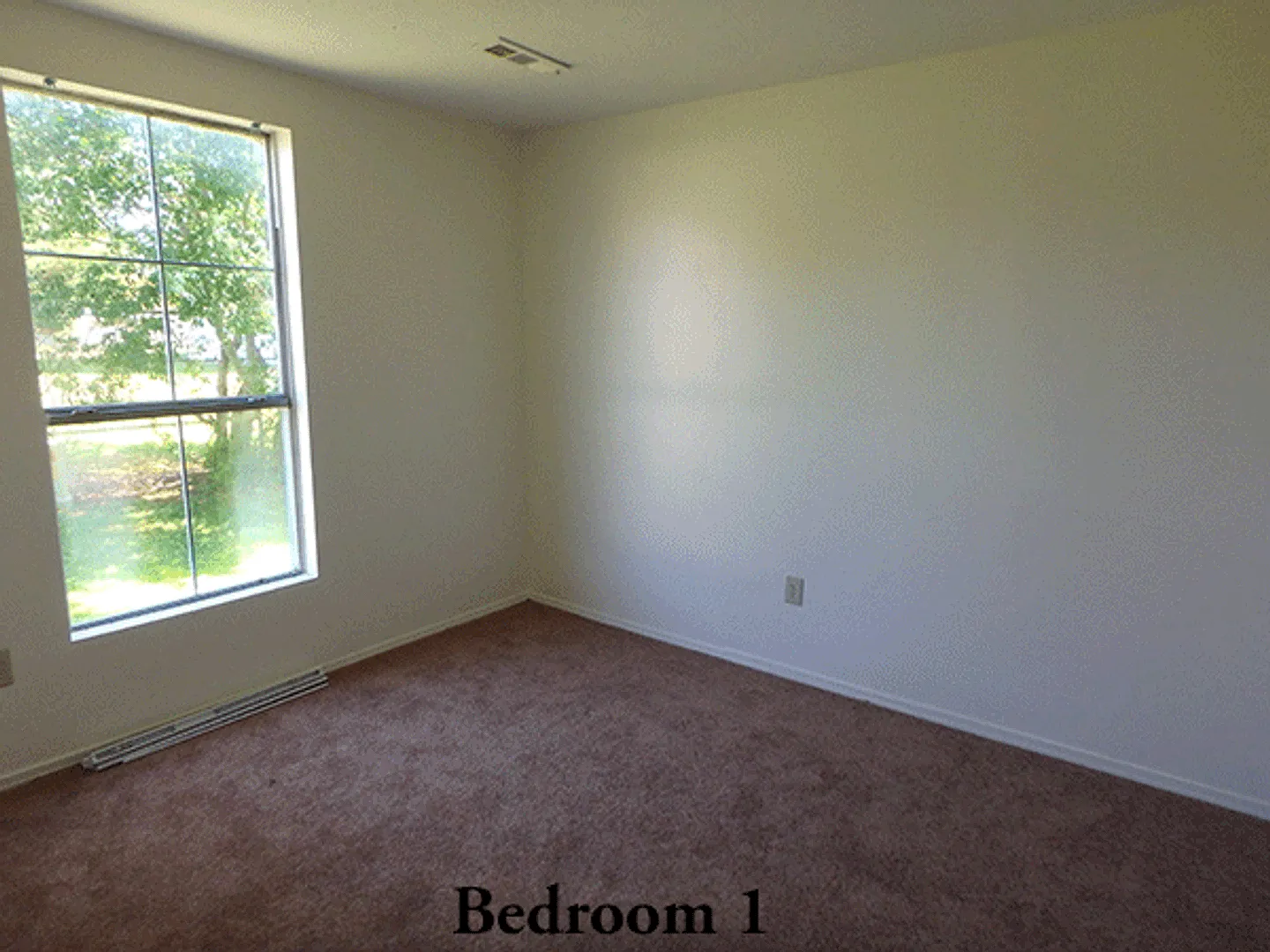 50% Off first months rent! | Peaceful Retreat, City Close — Photo 4