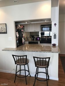 1313 N Ritchie Ct APT 2404, Chicago, IL, 60610