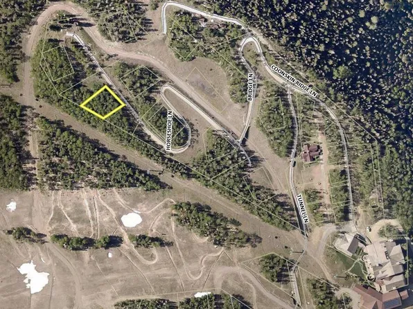 11 Horseshoe Ln #11, Telluride, CO 81435