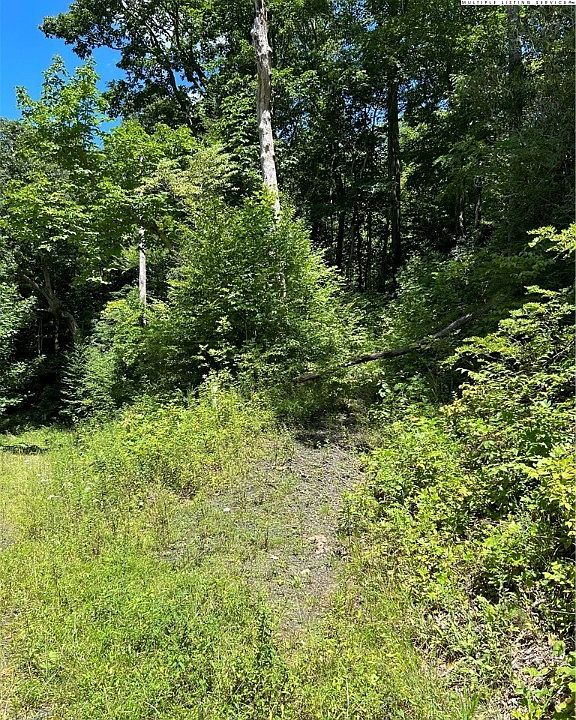 Lot 24R Riverwalk at Todd, Todd, NC 28684 MLS 245274 Zillow