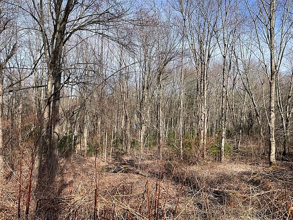 5th image of 50 Fiskdale Rd