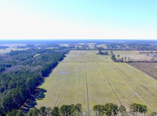 Crooked Run Rd, Willard, NC 28478